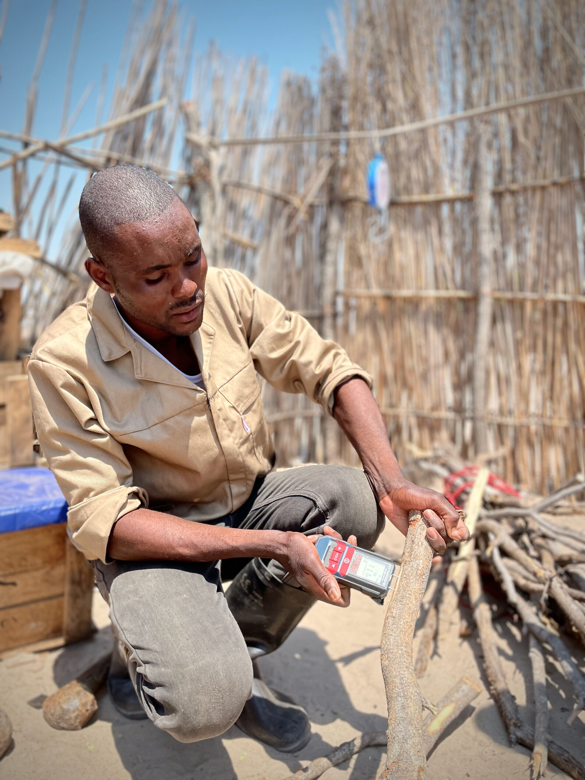 2025 website carbon picture