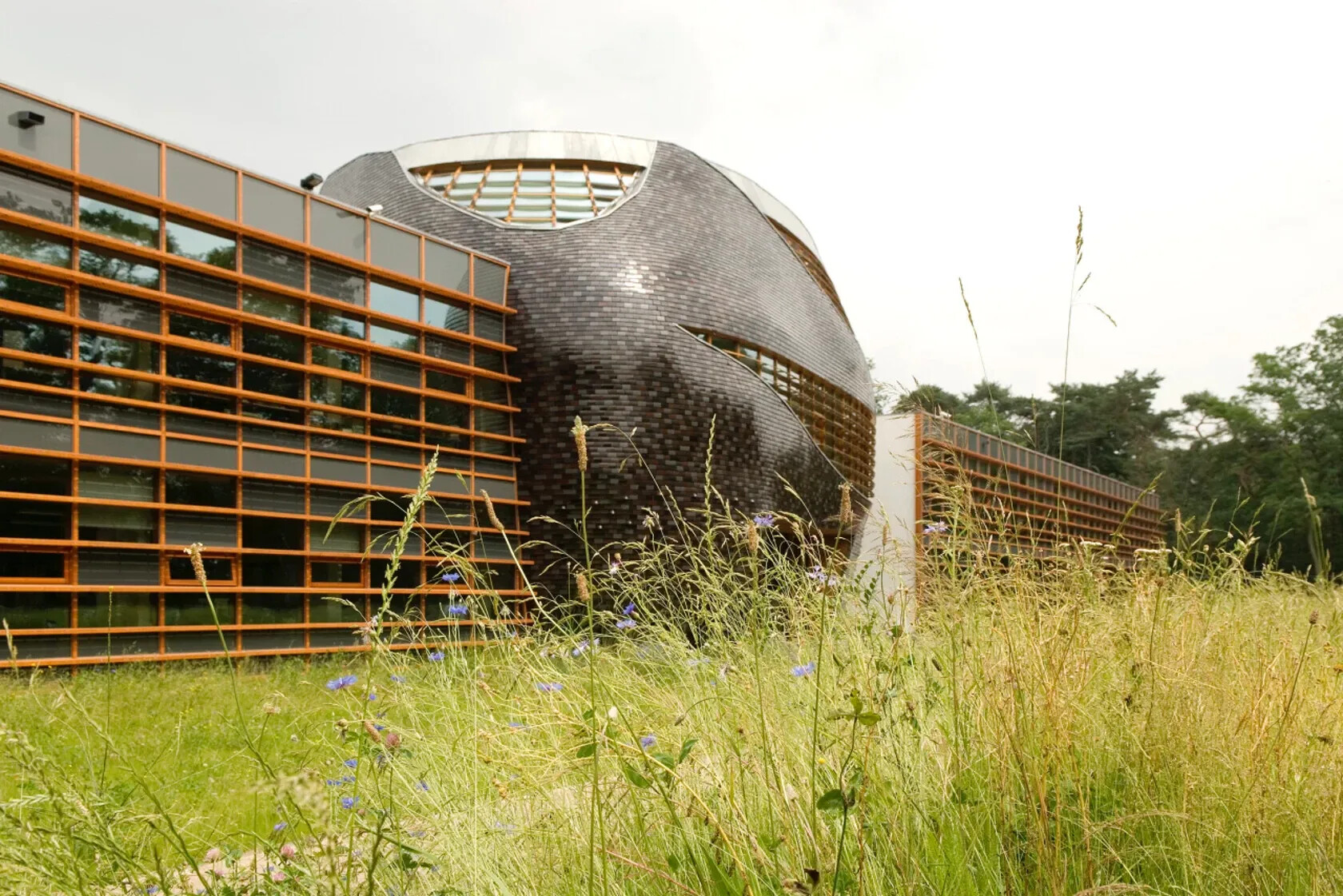 Wwf kantoor nederland