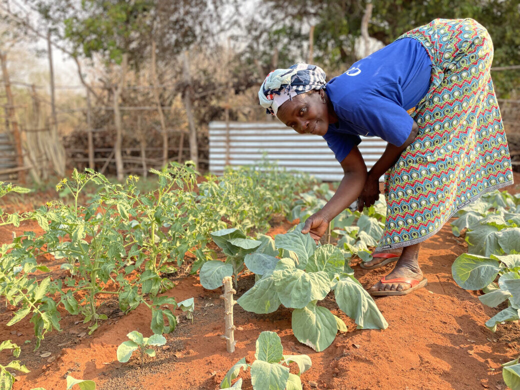 THP Moz Sailora Tomas