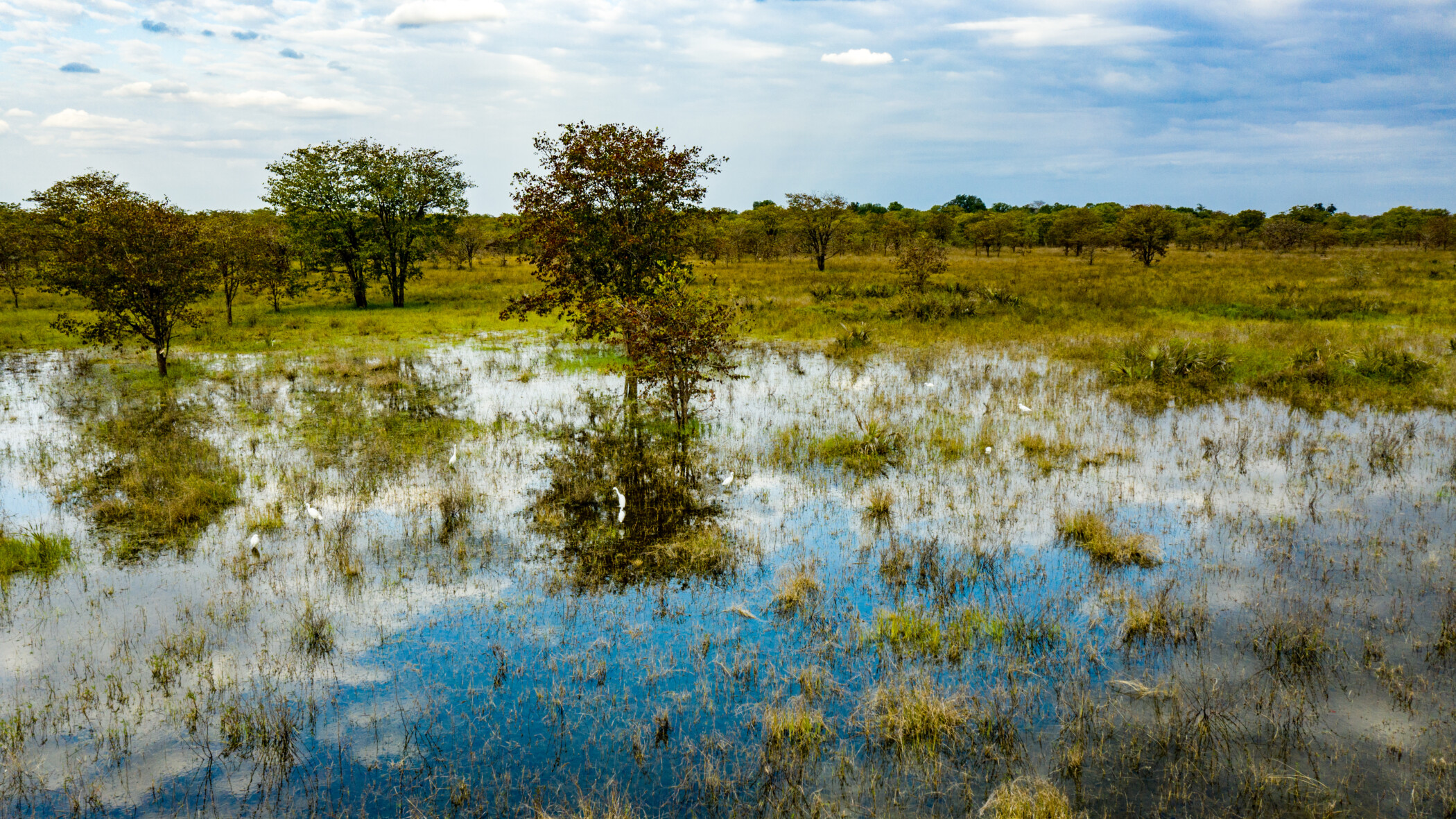 Banhine National Parc PPF