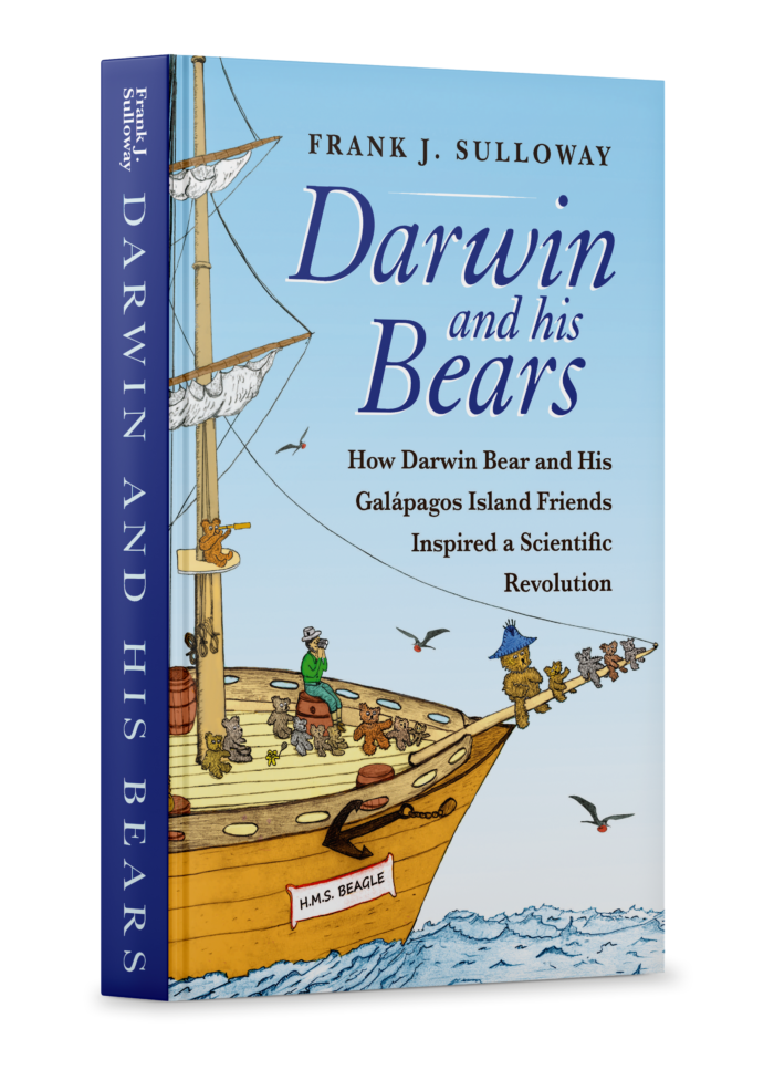 Darwin bears mockup