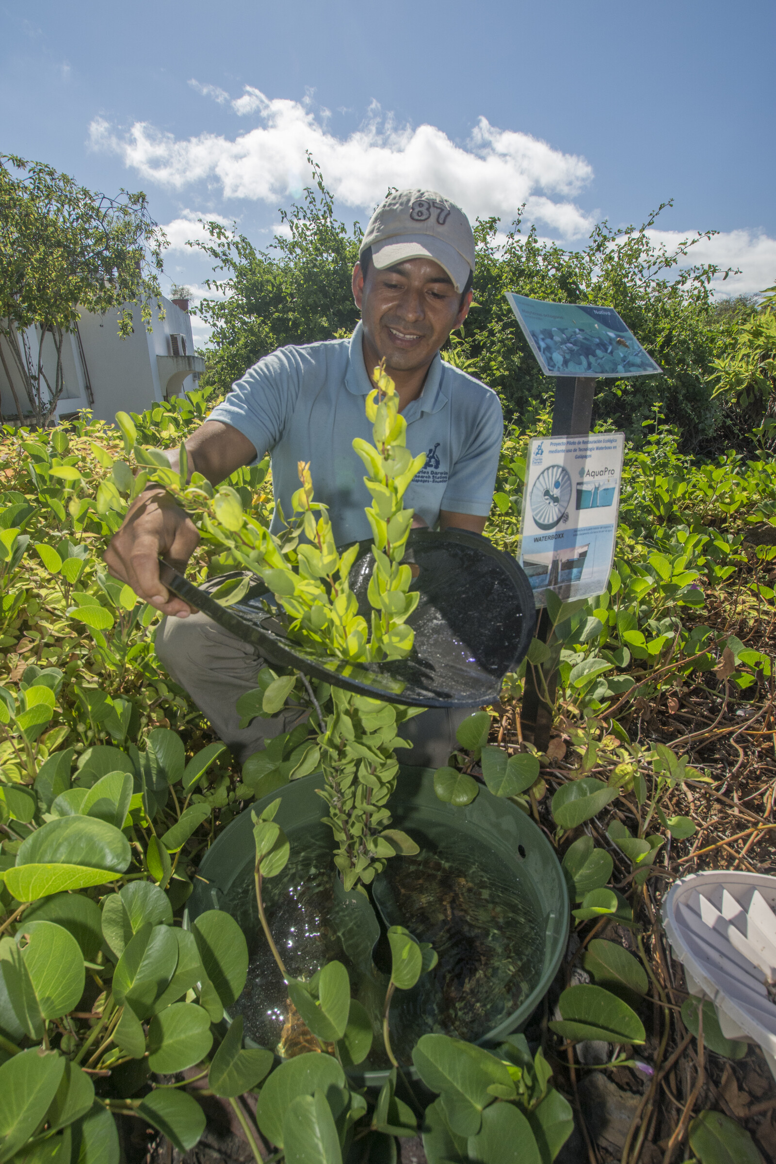 Galápagos Verde 2050 | COmON Foundation