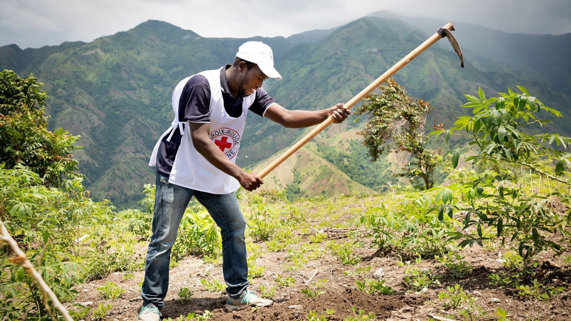 Red Cross Haiti