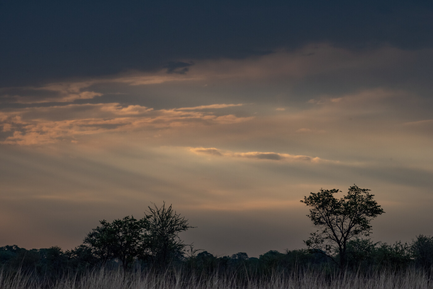 Zambia