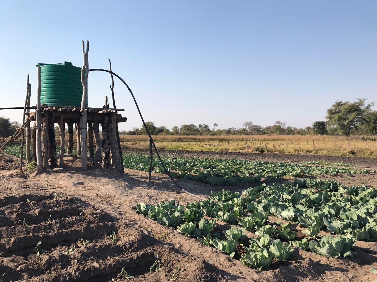 KAZA Simalaha Community Agriculture 2