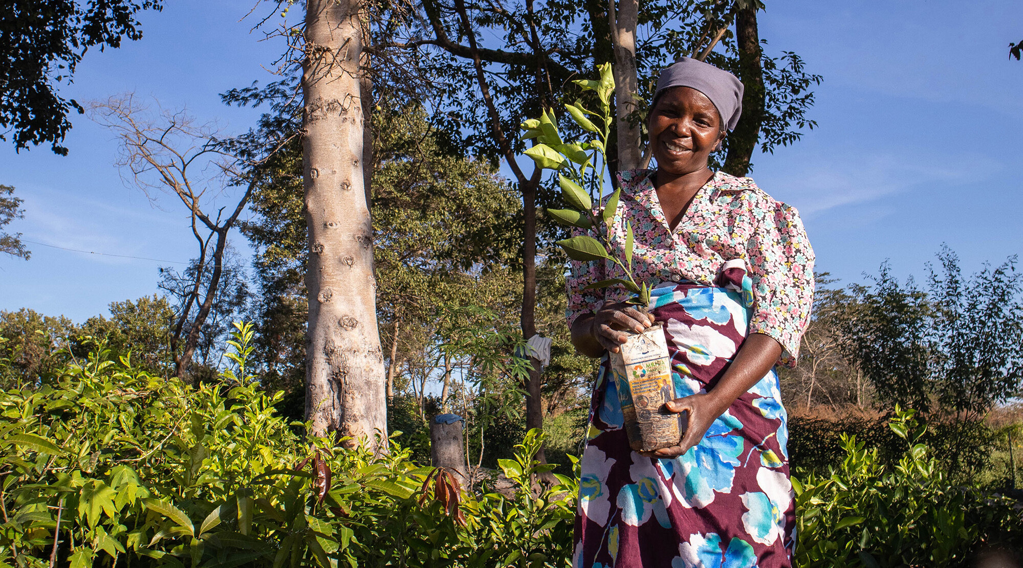 Mary Siwakwi 4 20200501 Mulako We Forest