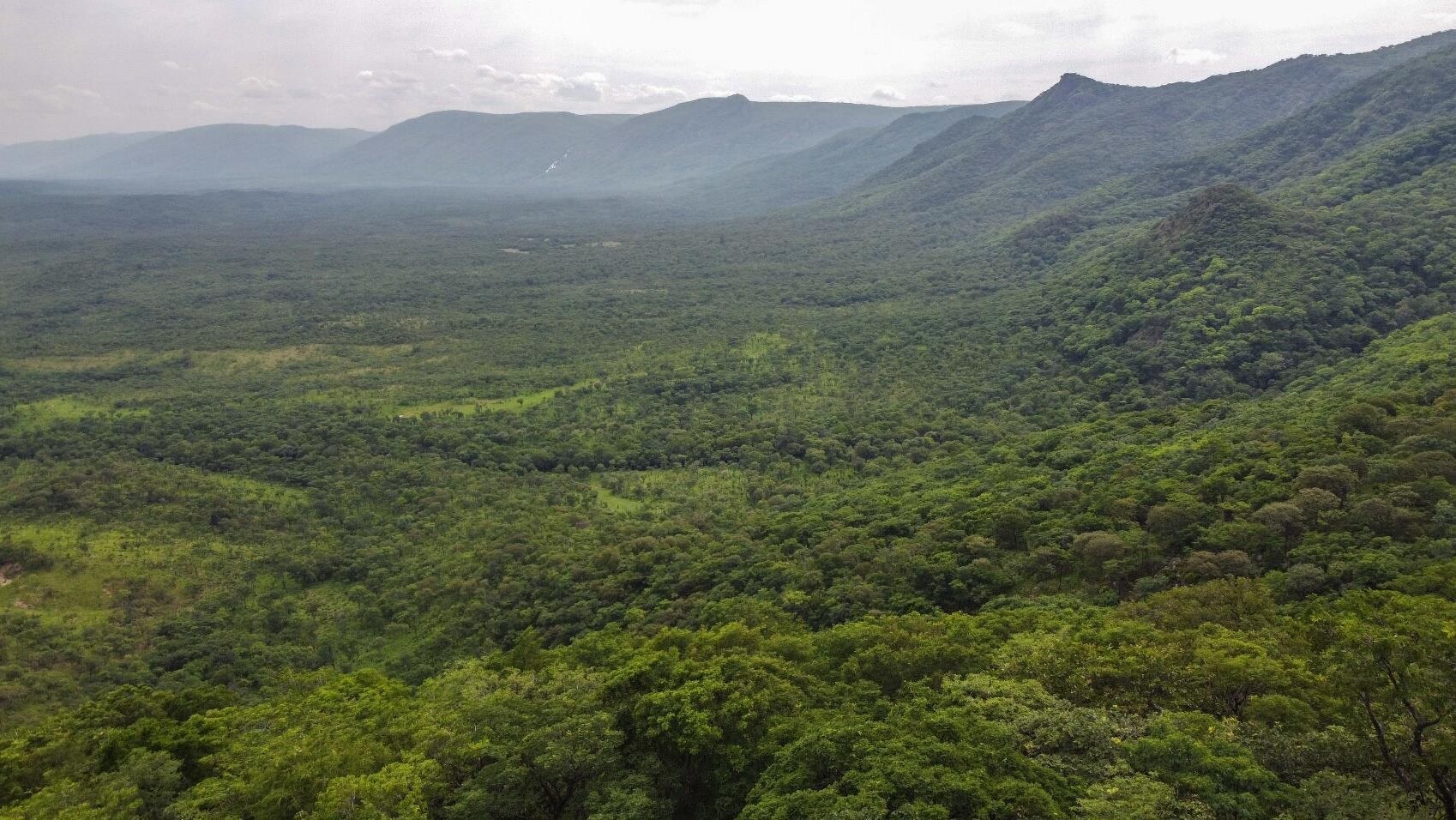 We Forest 1 Dec 2023 Main Report C Om ON