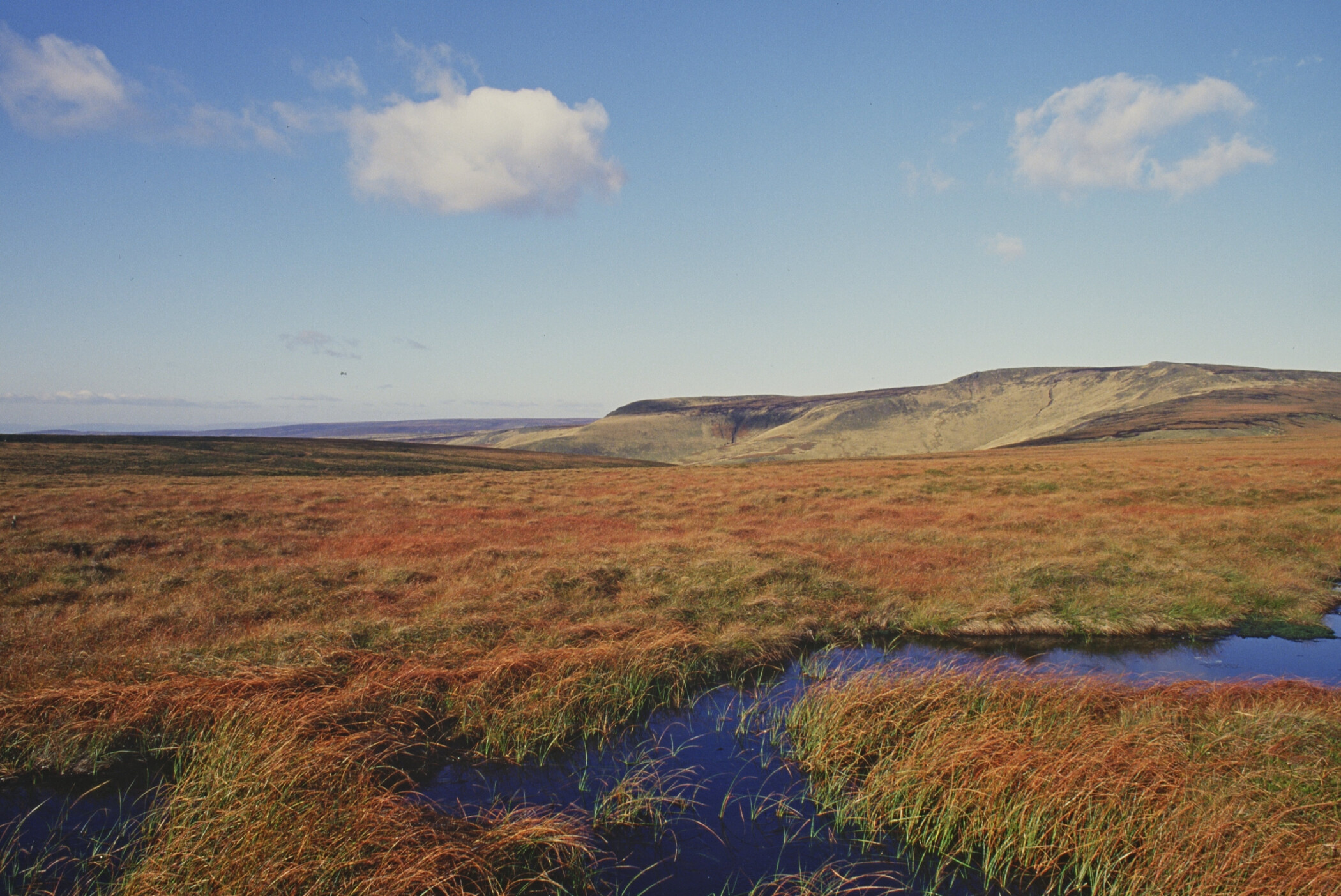 Peatland Bleaklow Ridge England by Peter Blakely Natural